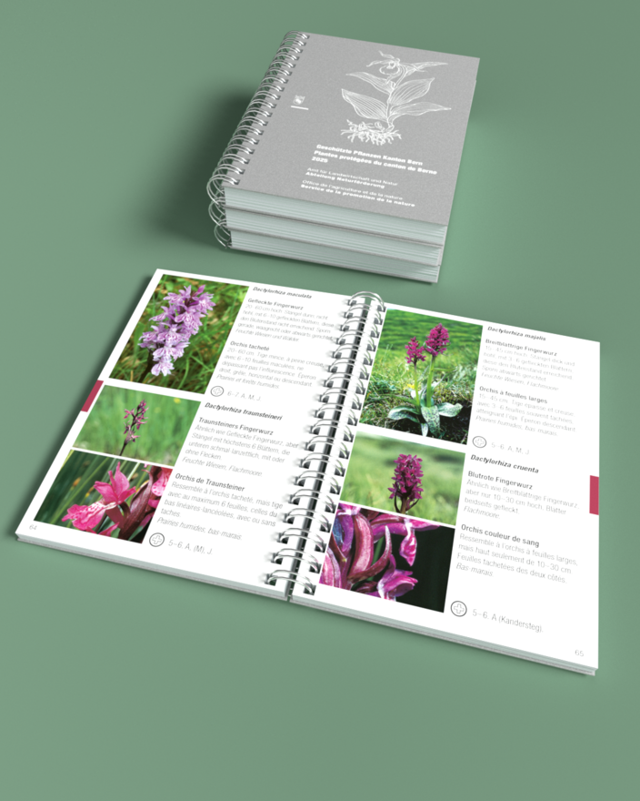 geschutzt_pflanzen.tif geschutzt_pflanzen.tif